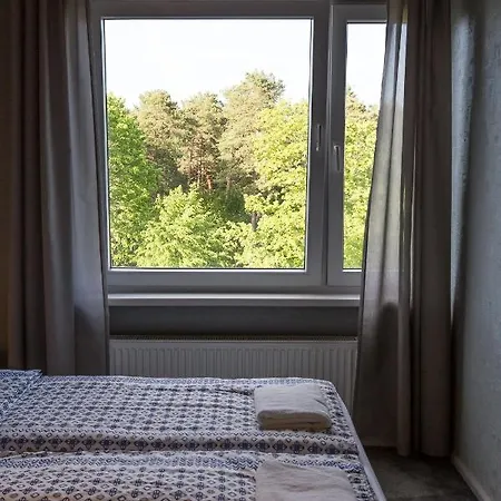 Pine View Apartment